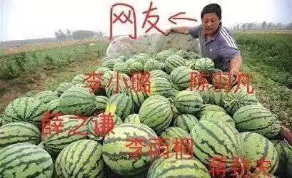 娱乐公司吃瓜,揭秘吃瓜背后的娱乐公司秘密