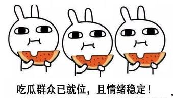 娱乐吃瓜酱想哄你的人,娱乐吃瓜酱的甜蜜哄你人生攻略