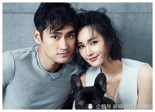 娱乐圈吃瓜的主播都有谁,那些热衷于吃瓜的知名主播大盘点